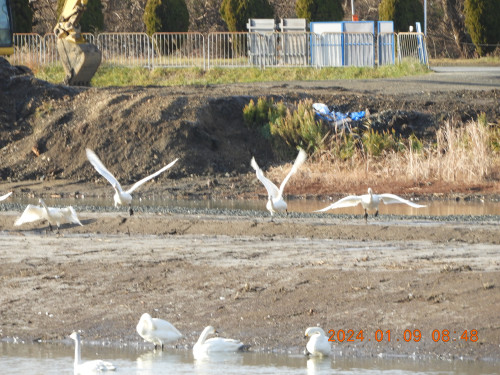DSCN7130.JPG