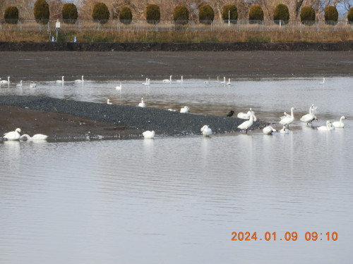 DSCN7185.JPG