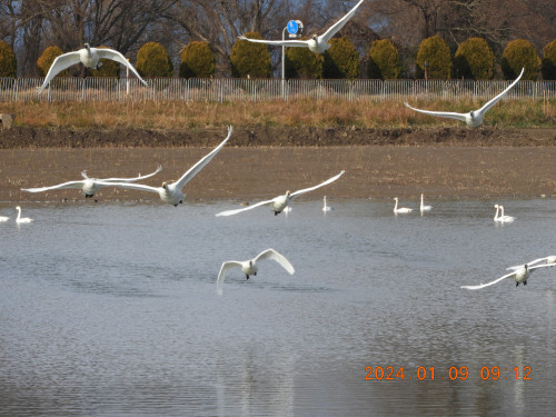 DSCN7192.JPG