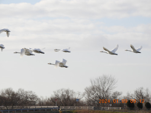 DSCN7194.JPG