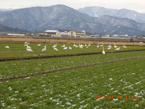 DSCN7200.JPG