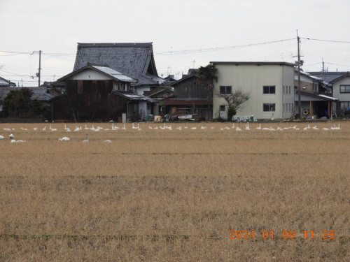 DSCN7201.JPG