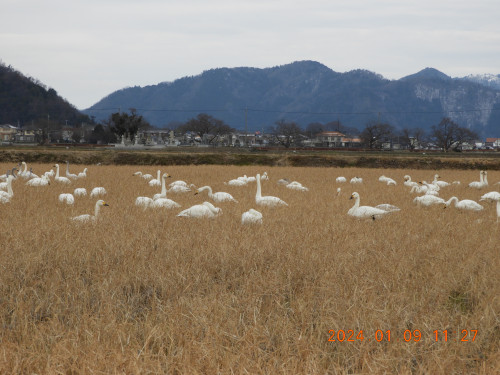 DSCN7202.JPG