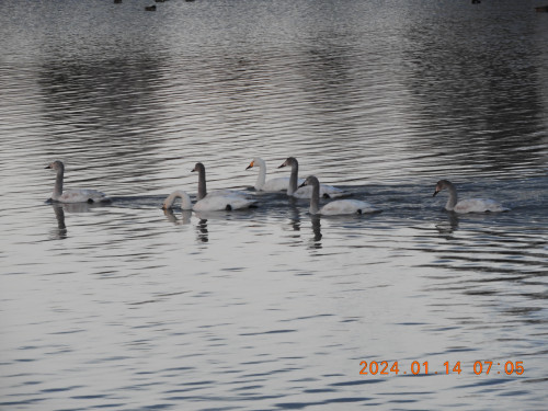 DSCN7304.JPG