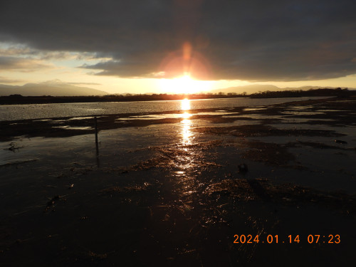 DSCN7319.JPG