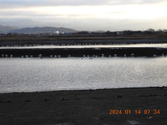 DSCN7329.JPG