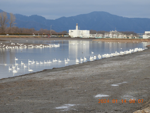 DSCN7336.JPG