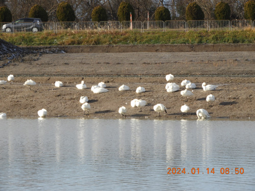 DSCN7343.JPG