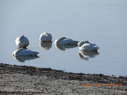 DSCN7361.JPG