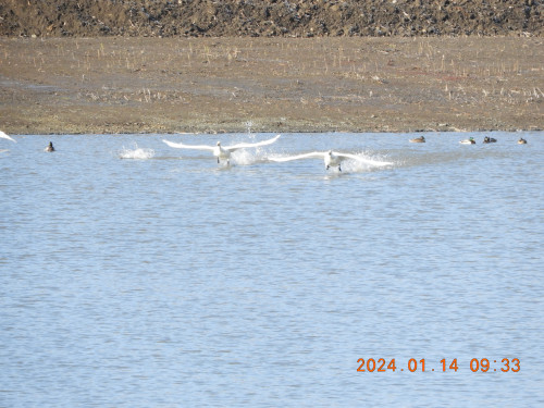 DSCN7365.JPG