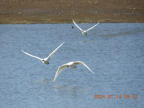 DSCN7370.JPG