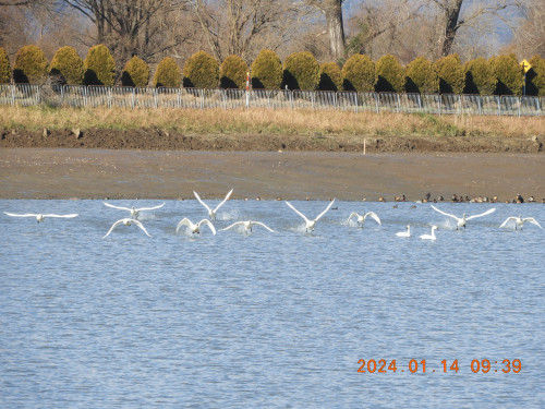 DSCN7398.JPG