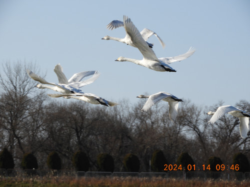 DSCN7425.JPG