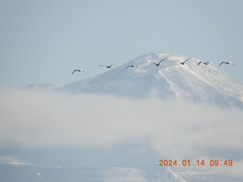 DSCN7429.JPG