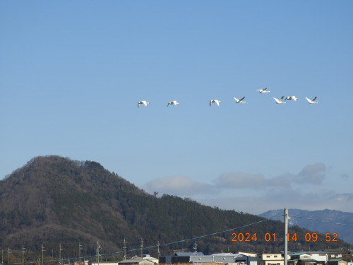 DSCN7430.JPG