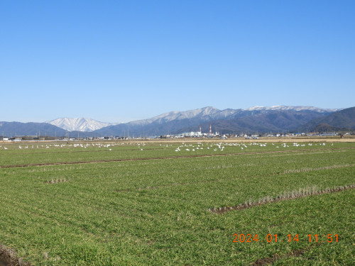 DSCN7432.JPG