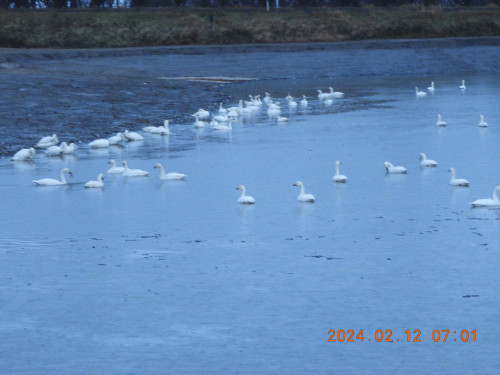 DSCN0196.JPG