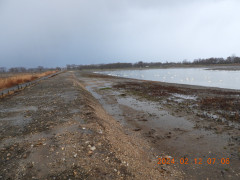 DSCN0200.JPG