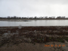 DSCN0201.JPG