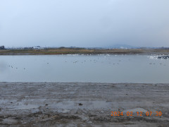 DSCN0208.JPG