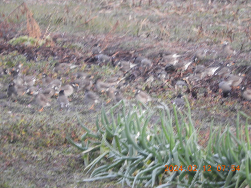 DSCN0211.JPG