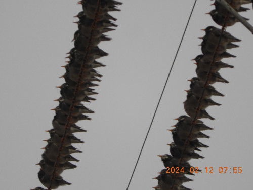 DSCN0215.JPG