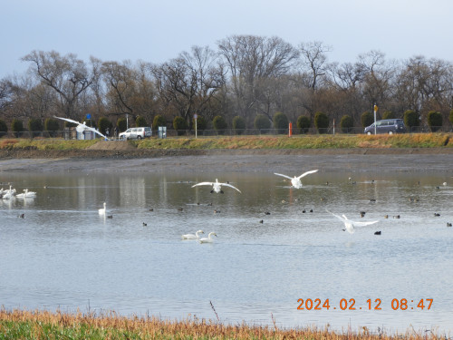 DSCN0221.JPG