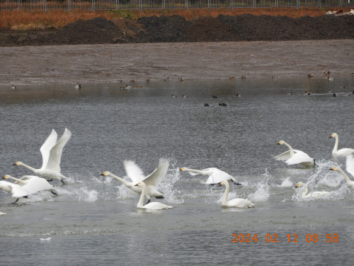 DSCN0229.JPG