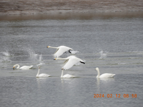 DSCN0230.JPG
