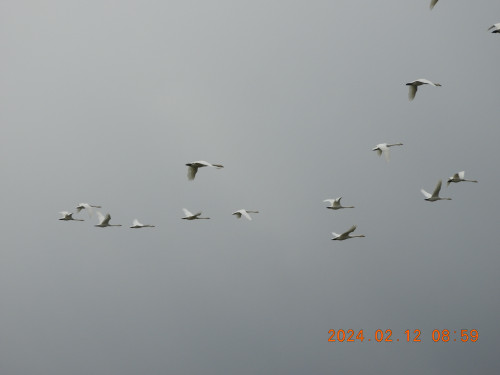 DSCN0232.JPG