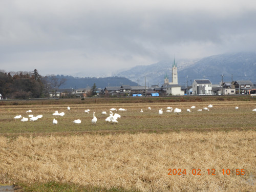 DSCN0234.JPG