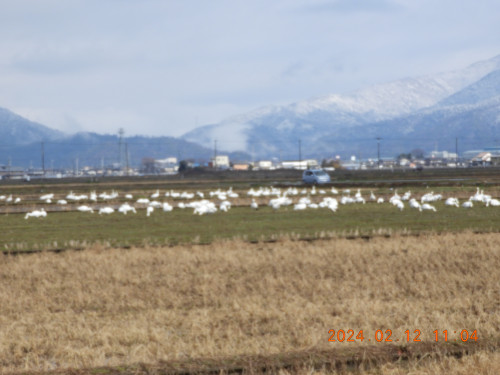 DSCN0236.JPG