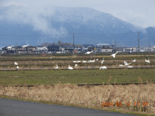 DSCN0237.JPG