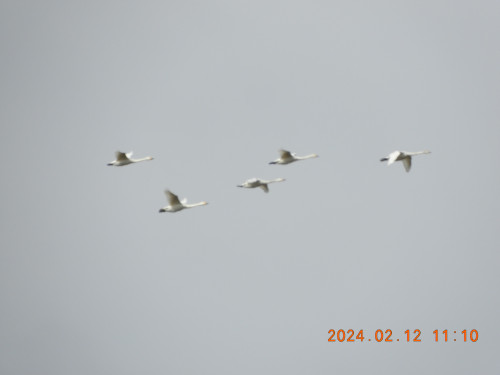 DSCN0239.JPG