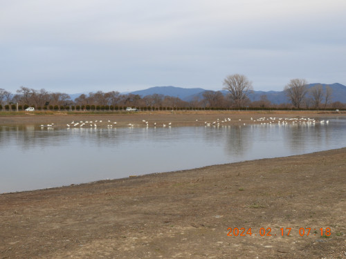 DSCN8907.JPG