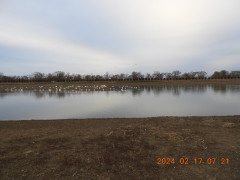 DSCN8910.JPG