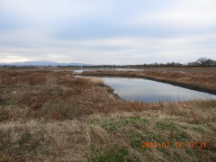 DSCN8922.JPG