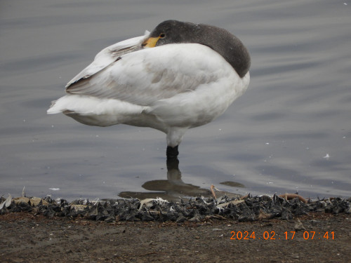DSCN8925.JPG