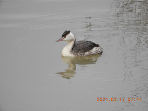 DSCN8926.JPG