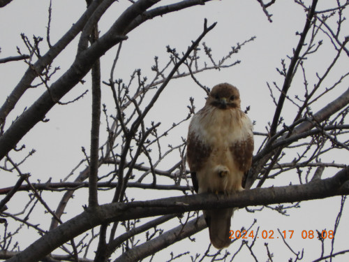 DSCN8927.JPG
