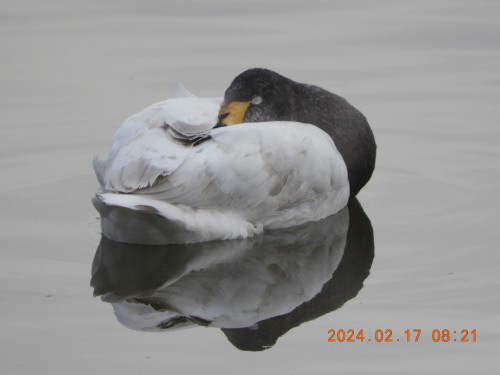 DSCN8931.JPG