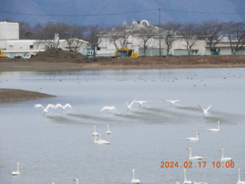 DSCN8974.JPG