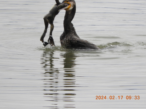DSCN8947.JPG