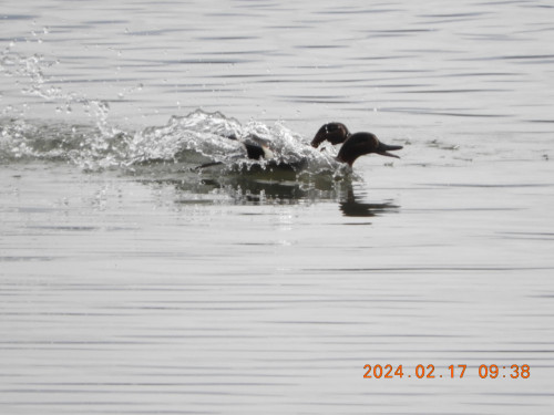 DSCN8955.JPG