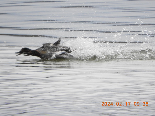 DSCN8957.JPG