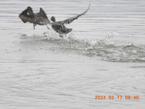 DSCN8963.JPG