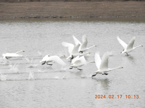 DSCN8991.JPG