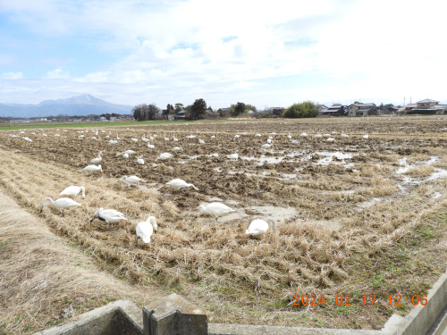 DSCN9004.JPG