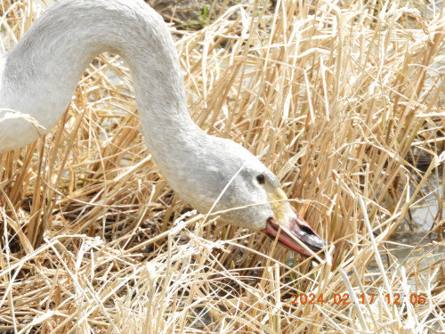 DSCN9005.JPG