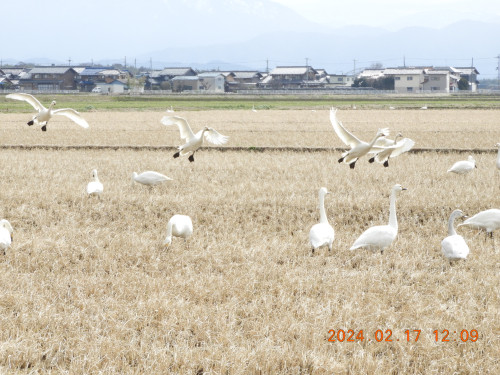 DSCN9008.JPG